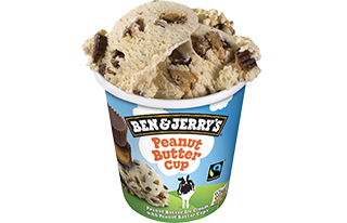 Produktbild Ben & Jerry's - Peanut Butter Cup 465ml